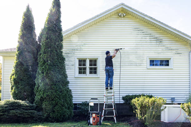 Why Choose Our Certified Pressure Washing Experts for Your Project Needs in St Joseph, IL?